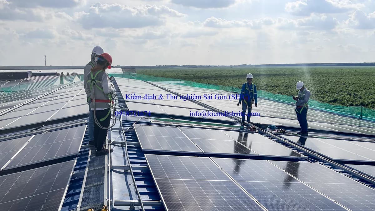 Hướng dẫn kiểm tra và bảo trì hệ thống chống rơi ngã cá nhân